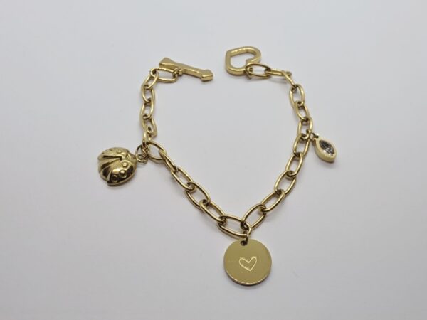 Pulsera dijes dorados